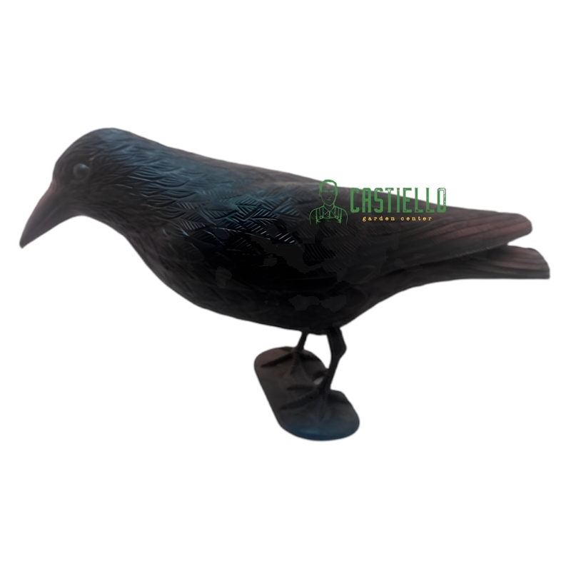 Corvo in plastica spaventa piccione