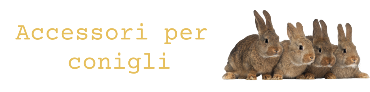 In questa categoria troverai tutti gli articoli per i tuoi conigli.