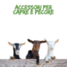 Accessori per capre e pecore