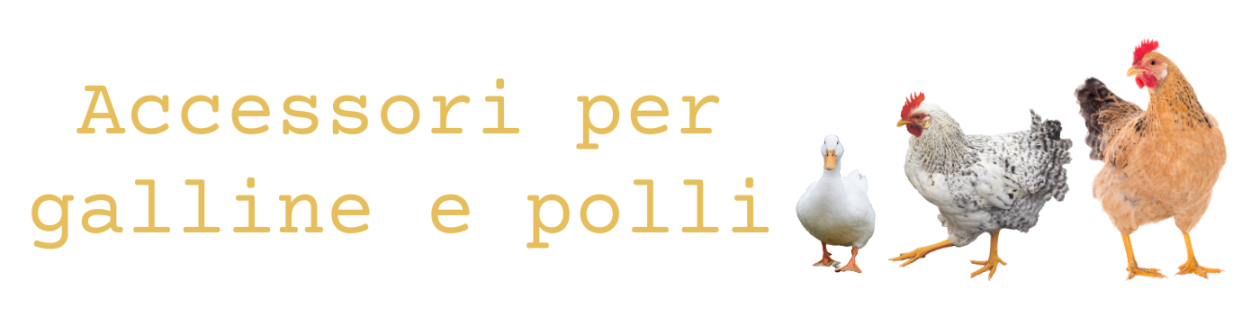 In questa categoria troverai tutti gli articoli per le tue galline e polli.