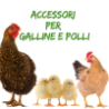 Accessori per galline e polli