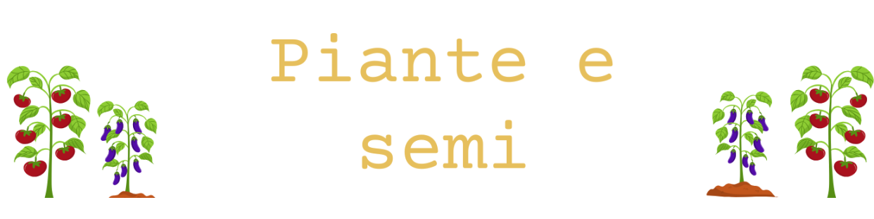 Piante e semi