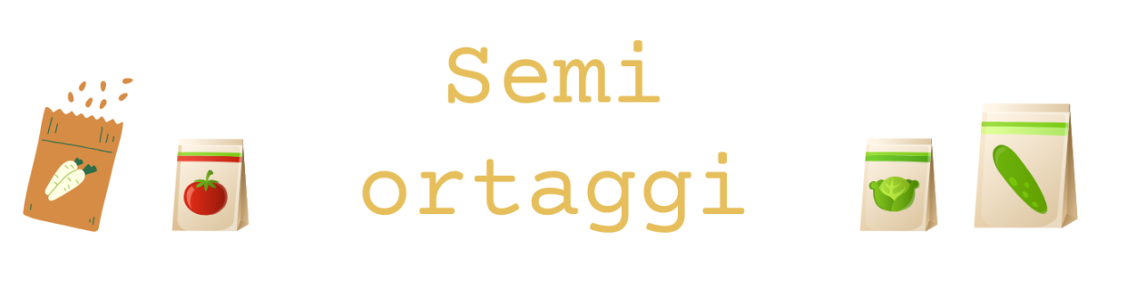 Semi di ortaggi