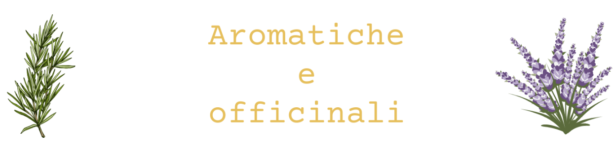 Aromatiche  e officinali