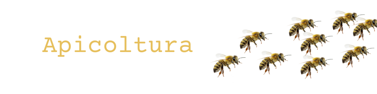 In questa categoria sono presenti tutti gli articoli per i tioi animali da compagnia e da reddito.