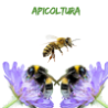 Apicoltura