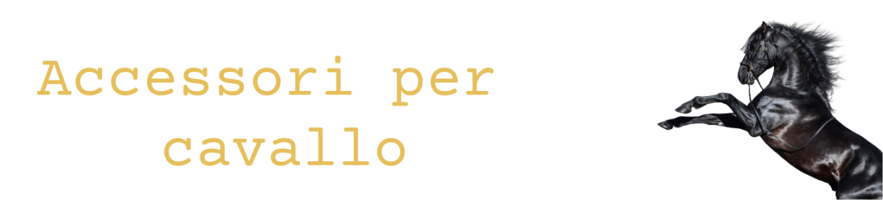 In questa categoria troverai tutti gli accessori per il tuo cavallo.