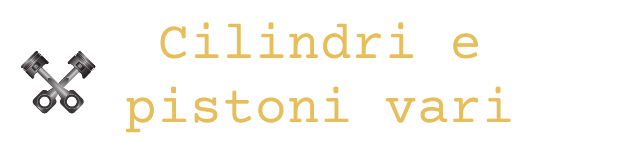 Cilindri e pistoni vari