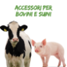 Bovini e suini