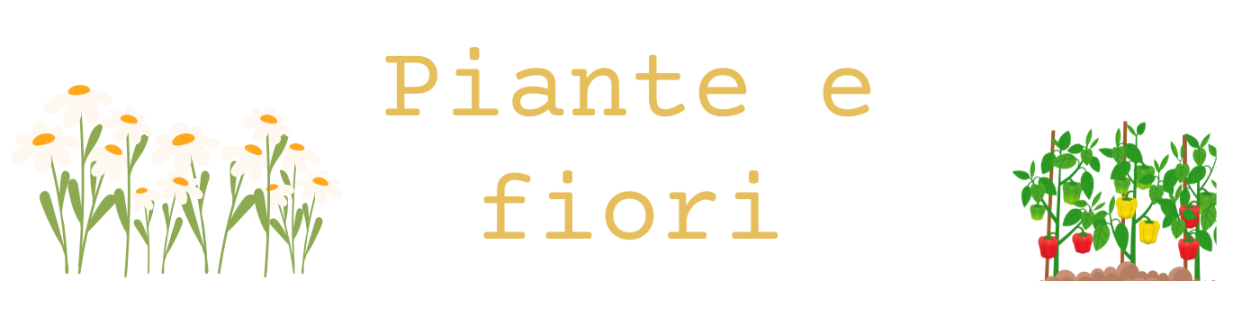 Piante e fiori