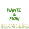 Piante e fiori