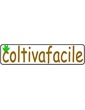 Raffaele vitolo s.r.l 