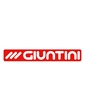 Landini giuntini s.p.a. 