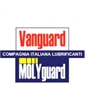 Compagnia italiana lubrificanti spa 