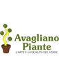 Azienda Agricola Avagliano Roberto
