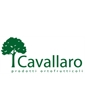 Cavallaro Import export srl